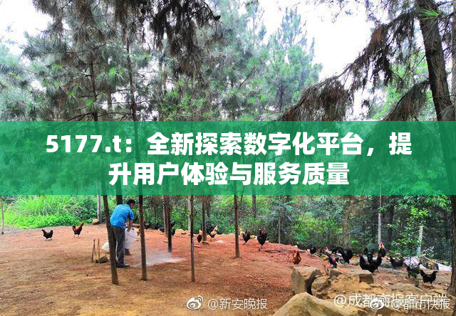 5177.t：全新探索数字化平台，提升用户体验与服务质量