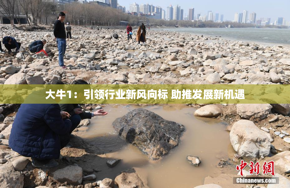 大牛1：引领行业新风向标 助推发展新机遇