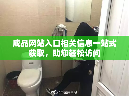 成品网站入口相关信息一站式获取，助您轻松访问