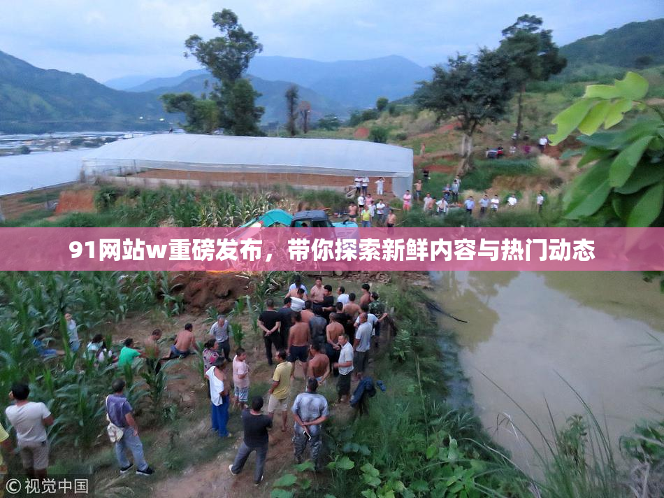 91网站w重磅发布，带你探索新鲜内容与热门动态