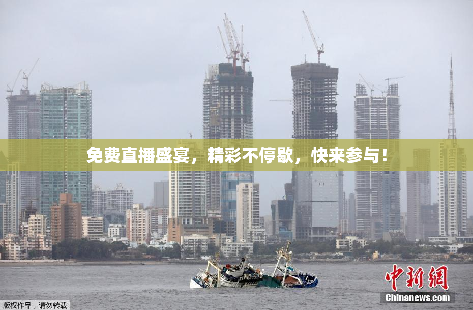 免费直播盛宴，精彩不停歇，快来参与！
