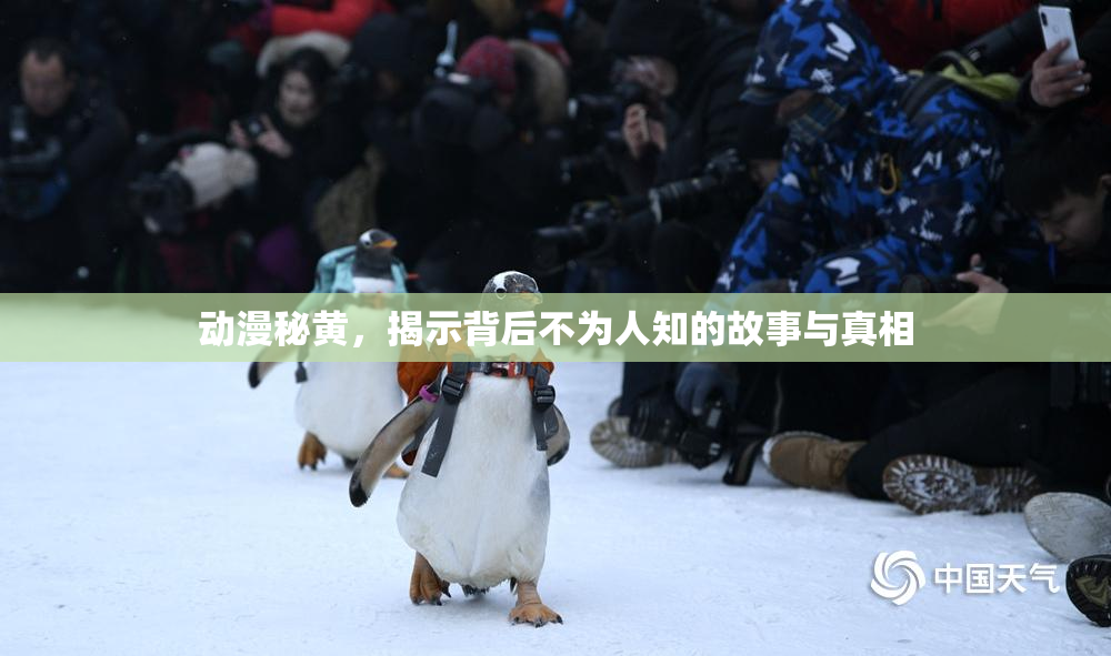 动漫秘黄，揭示背后不为人知的故事与真相