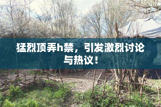 猛烈顶弄h禁，引发激烈讨论与热议！