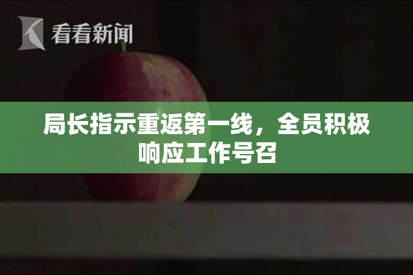 局长指示重返第一线，全员积极响应工作号召