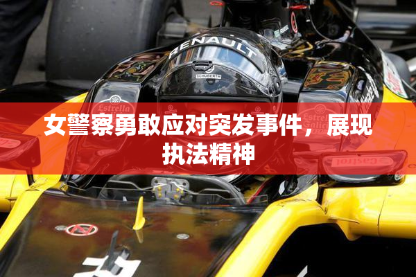 女警察勇敢应对突发事件，展现执法精神