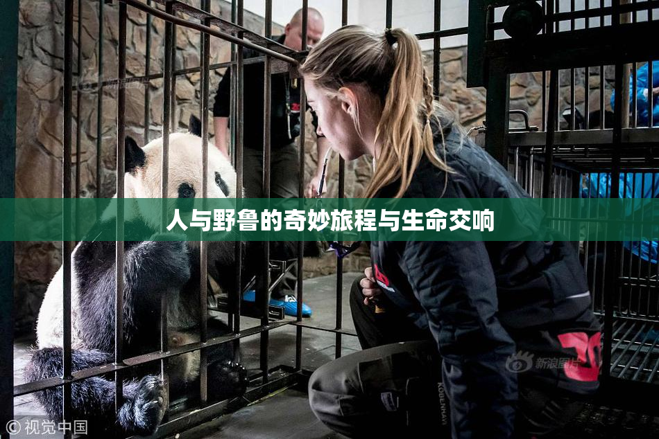 人与野鲁的奇妙旅程与生命交响