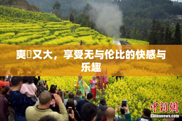 爽擼又大，享受无与伦比的快感与乐趣