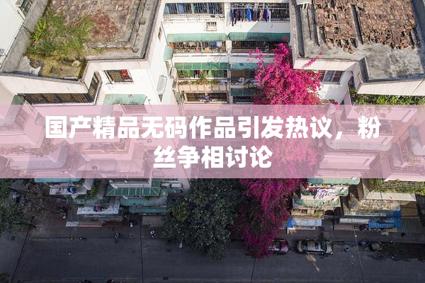 国产精品无码作品引发热议，粉丝争相讨论