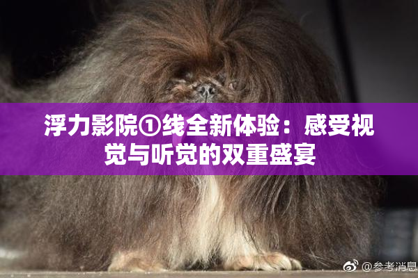 浮力影院①线全新体验：感受视觉与听觉的双重盛宴