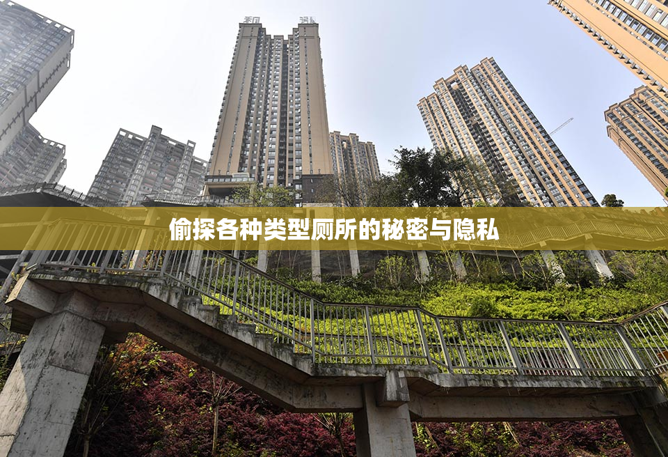偷探各种类型厕所的秘密与隐私