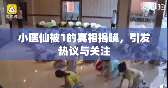 小医仙被1的真相揭晓，引发热议与关注