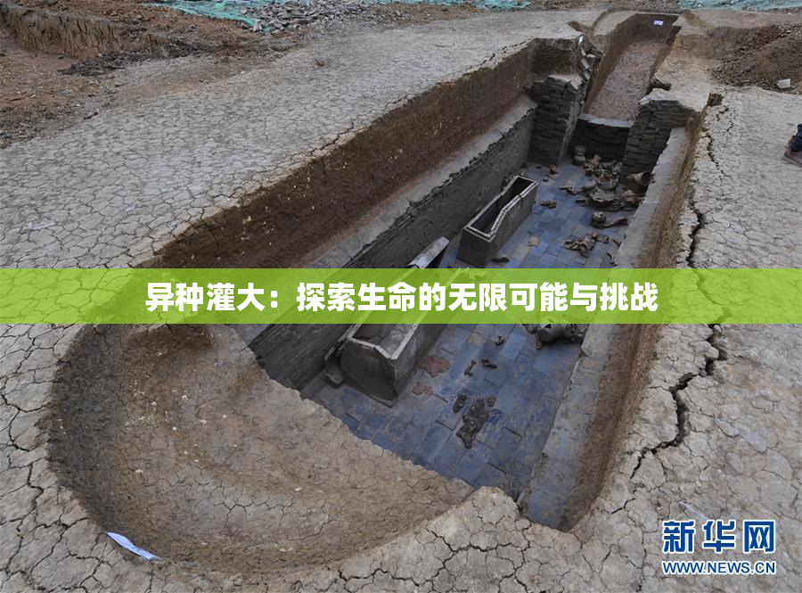 异种灌大：探索生命的无限可能与挑战