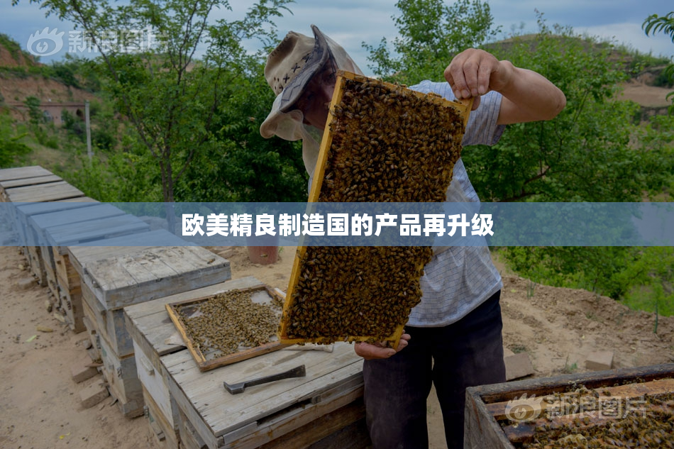 欧美精良制造国的产品再升级
