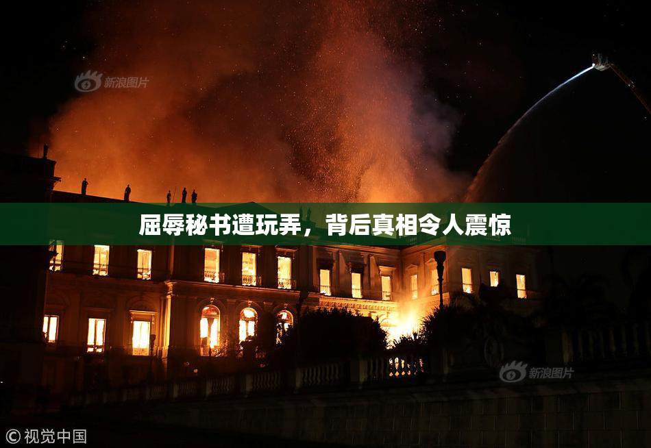 屈辱秘书遭玩弄，背后真相令人震惊