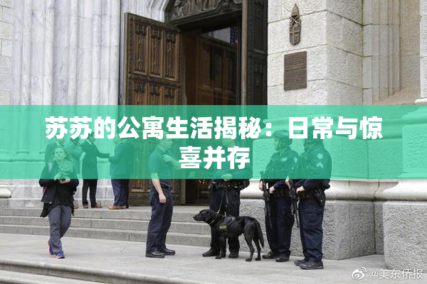 苏苏的公寓生活揭秘：日常与惊喜并存