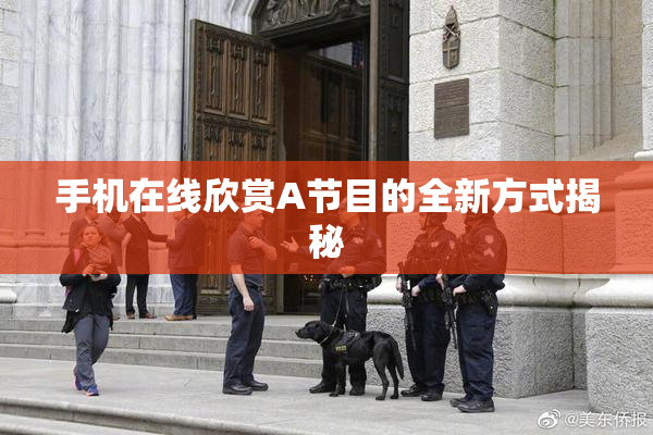 手机在线欣赏A节目的全新方式揭秘