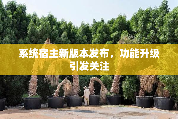 系统宿主新版本发布，功能升级引发关注