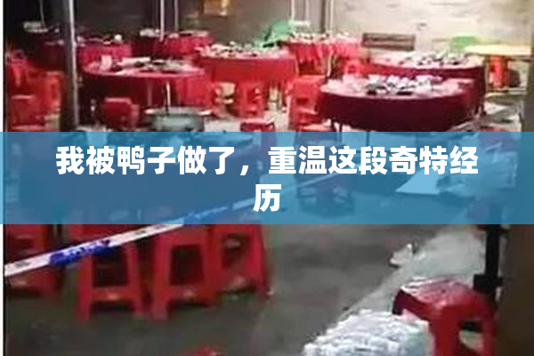 我被鸭子做了，重温这段奇特经历