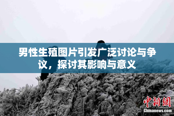 男性生殖图片引发广泛讨论与争议，探讨其影响与意义