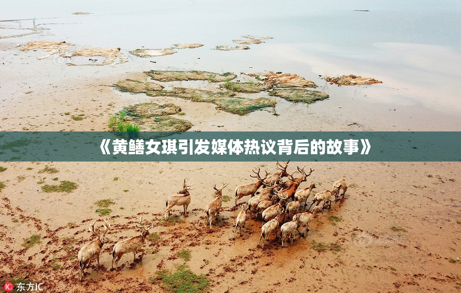 《黄鳝女琪引发媒体热议背后的故事》