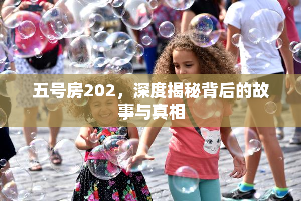 五号房202，深度揭秘背后的故事与真相
