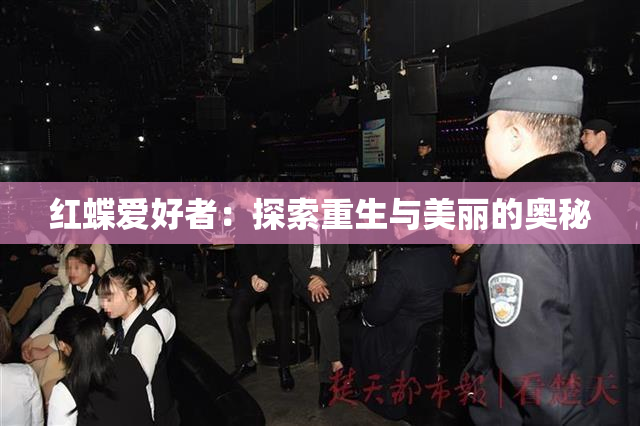 红蝶爱好者：探索重生与美丽的奥秘