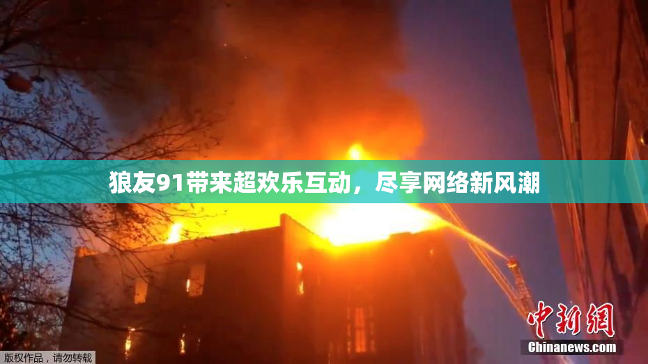 狼友91带来超欢乐互动，尽享网络新风潮