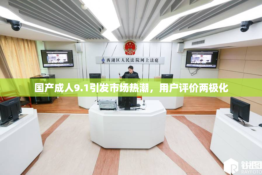 国产成人9.1引发市场热潮，用户评价两极化