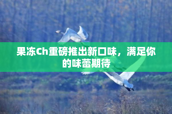 果冻Ch重磅推出新口味，满足你的味蕾期待