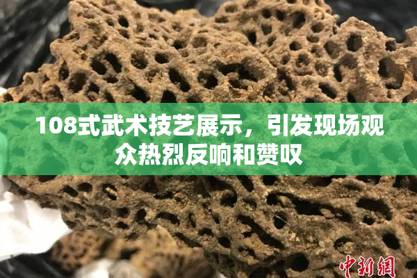 108式武术技艺展示，引发现场观众热烈反响和赞叹