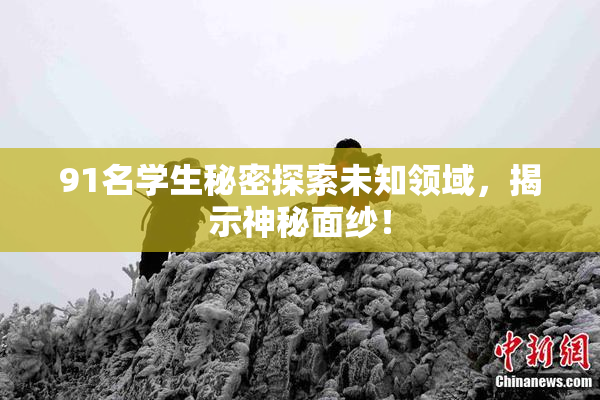 91名学生秘密探索未知领域，揭示神秘面纱！
