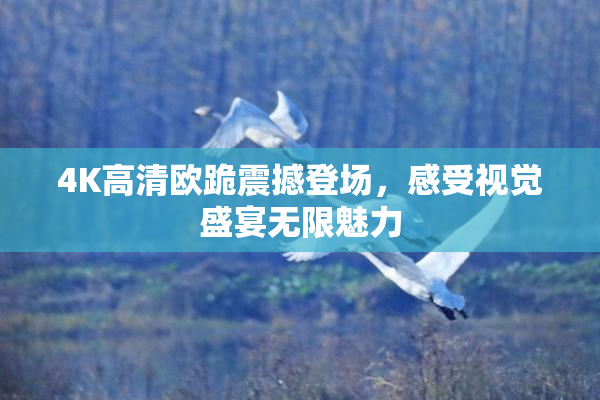 4K高清欧跪震撼登场，感受视觉盛宴无限魅力