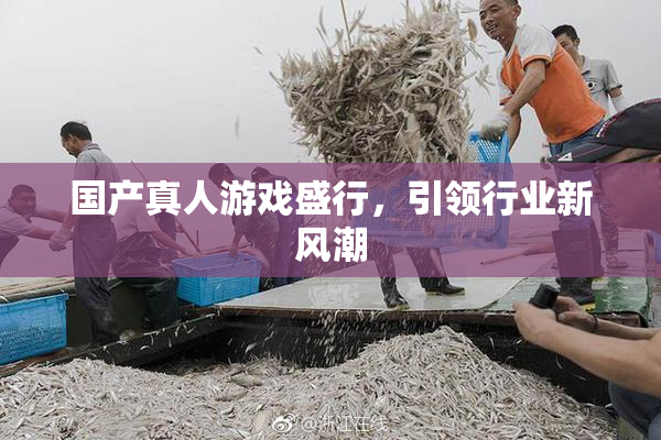 国产真人游戏盛行，引领行业新风潮