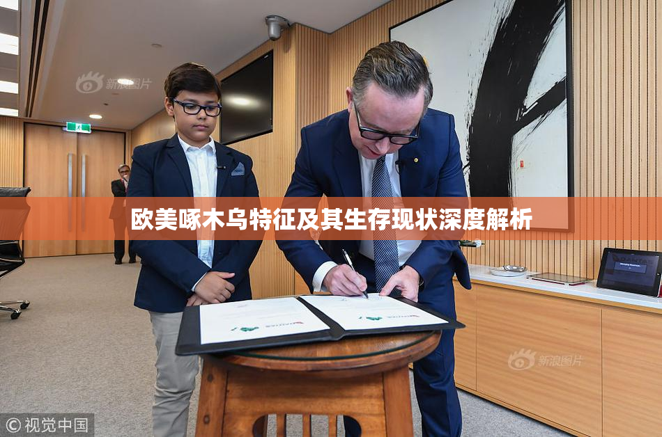欧美啄木乌特征及其生存现状深度解析