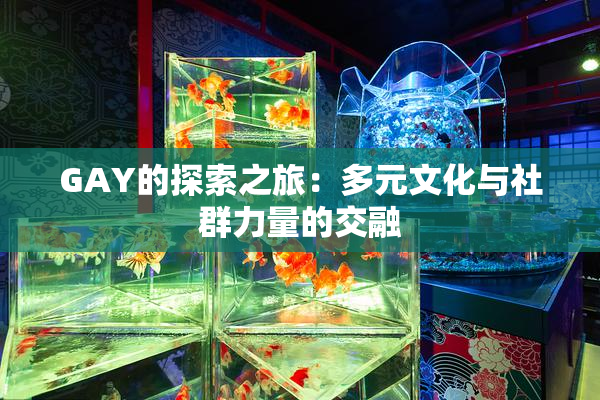 GAY的探索之旅：多元文化与社群力量的交融