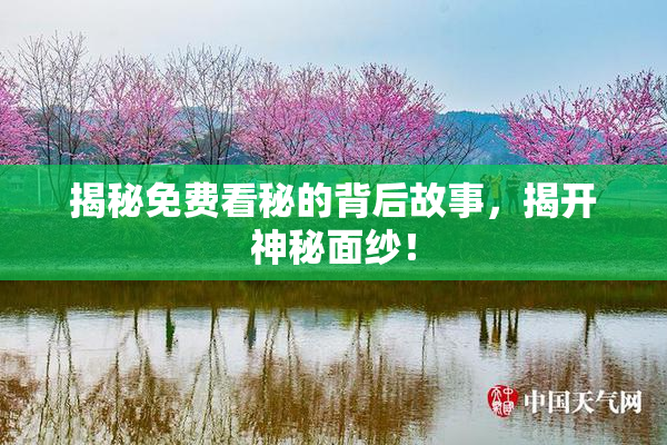 揭秘免费看秘的背后故事，揭开神秘面纱！