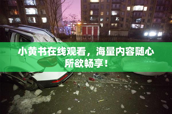 小黄书在线观看，海量内容随心所欲畅享！