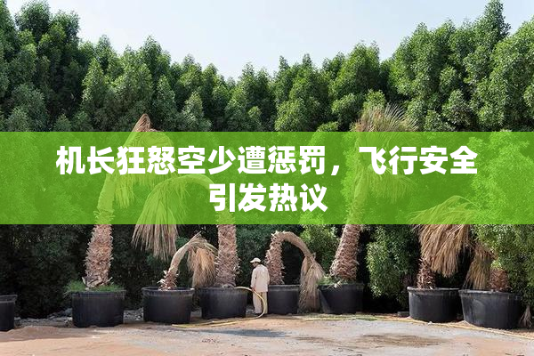 机长狂怒空少遭惩罚，飞行安全引发热议