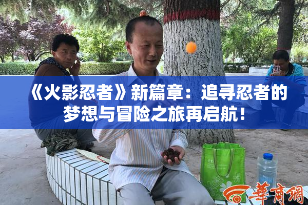 《火影忍者》新篇章：追寻忍者的梦想与冒险之旅再启航！