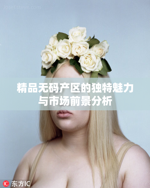 精品无码产区的独特魅力与市场前景分析