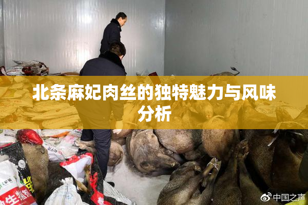 北条麻妃肉丝的独特魅力与风味分析
