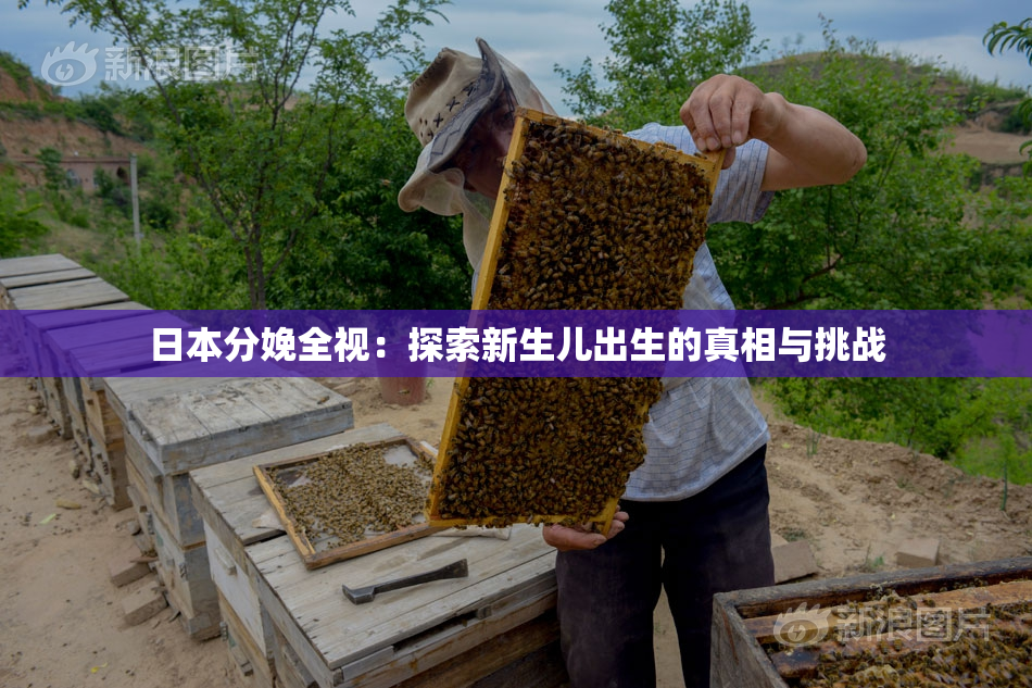 日本分娩全视：探索新生儿出生的真相与挑战