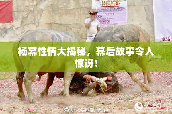 杨幂性情大揭秘，幕后故事令人惊讶！