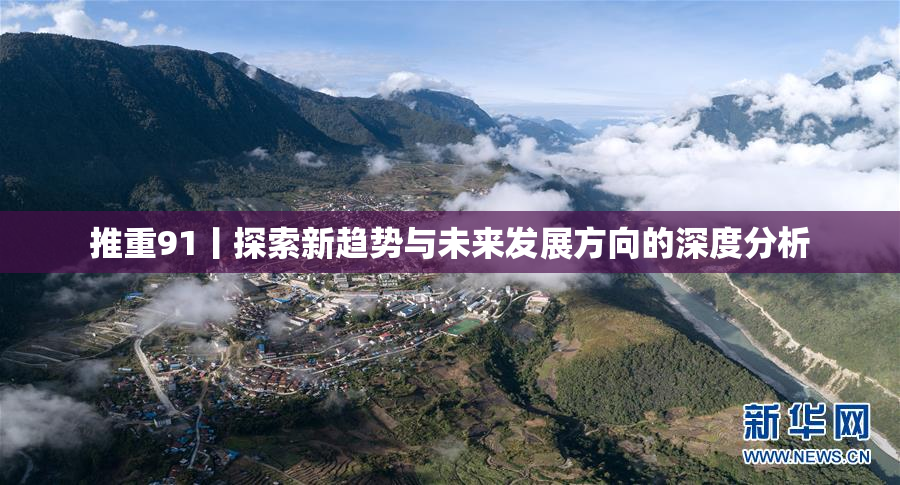 推重91丨探索新趋势与未来发展方向的深度分析