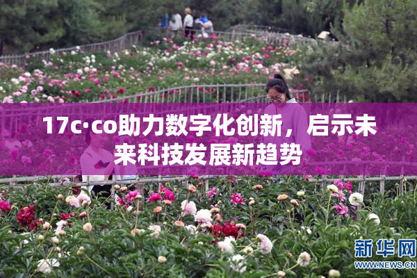 17c·co助力数字化创新，启示未来科技发展新趋势