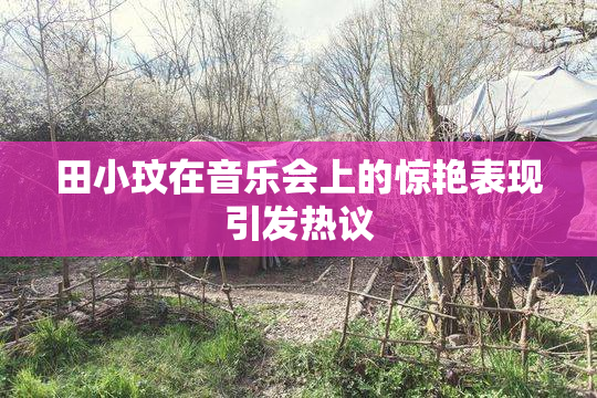 田小玟在音乐会上的惊艳表现引发热议