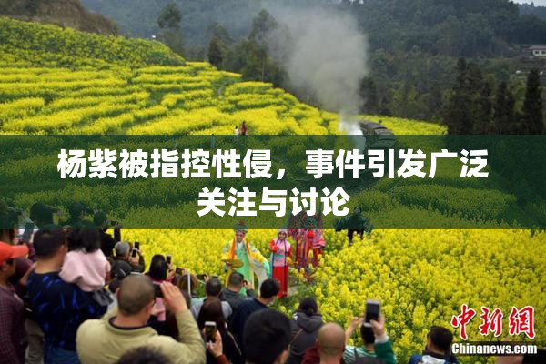 杨紫被指控性侵，事件引发广泛关注与讨论