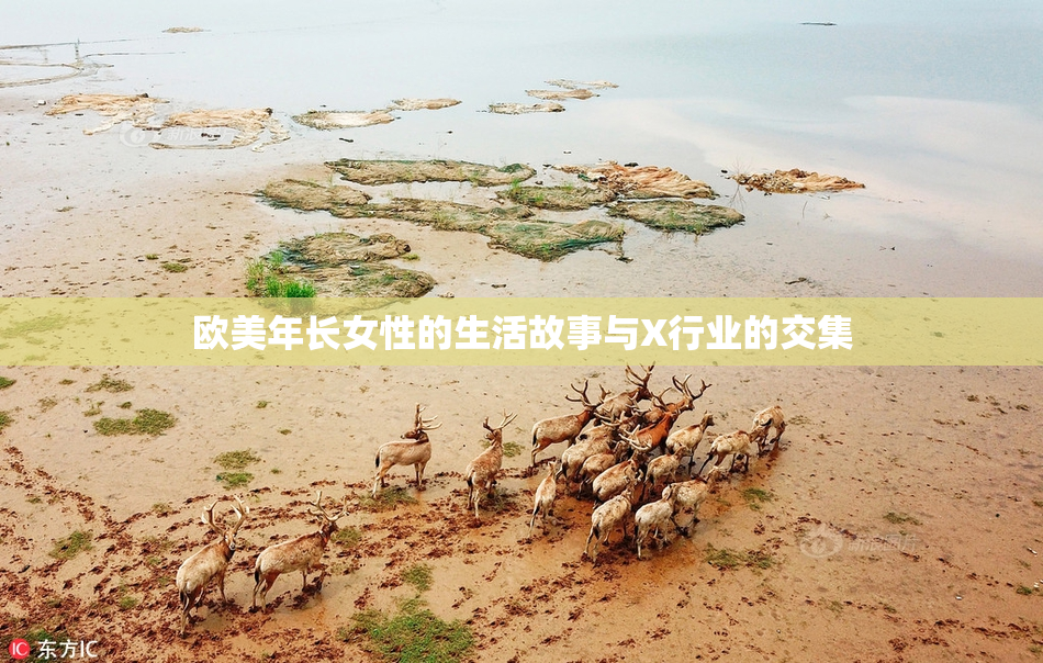 欧美年长女性的生活故事与X行业的交集