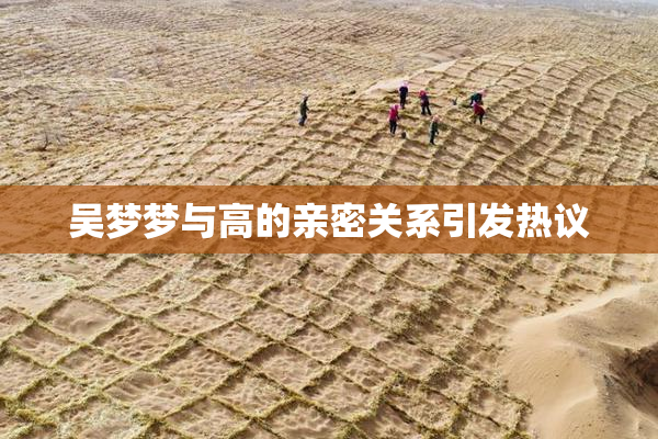 吴梦梦与高的亲密关系引发热议