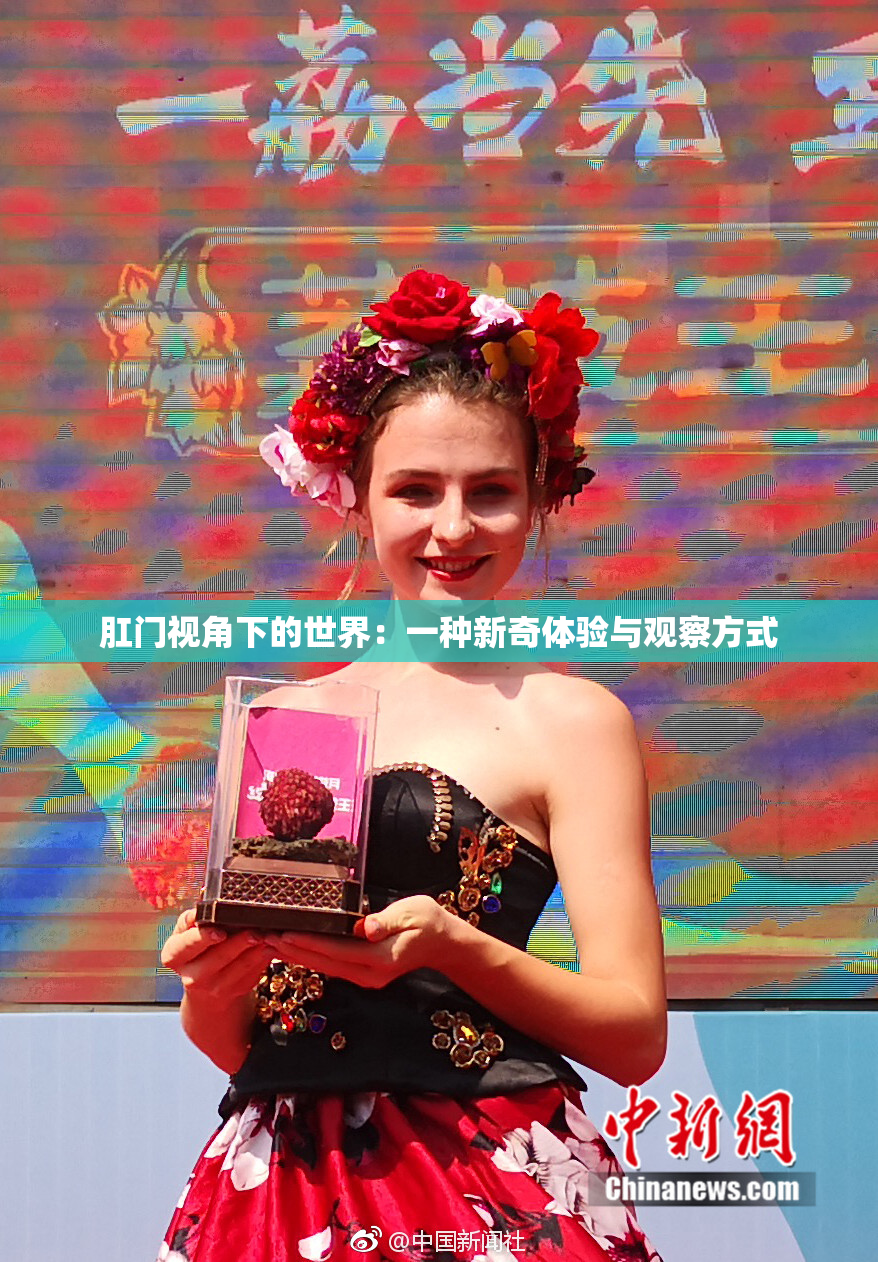 肛门视角下的世界：一种新奇体验与观察方式